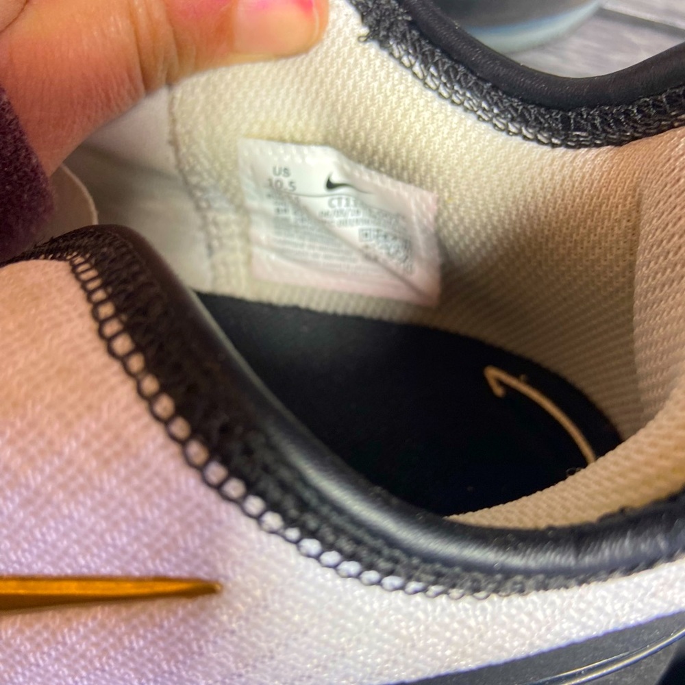 Size 10 1/2 men’s Nike shoes.